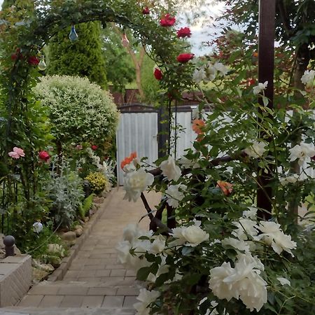 Casa Mamei Сучава Экстерьер фото