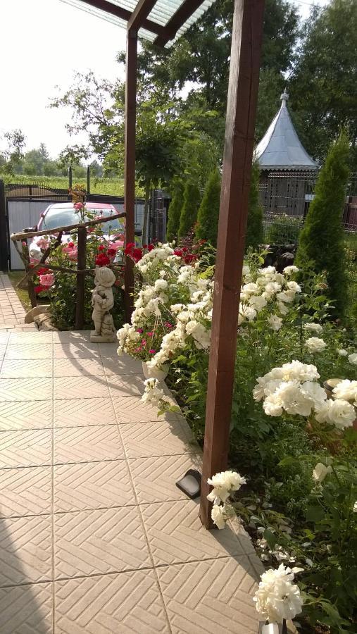 Casa Mamei Сучава Экстерьер фото