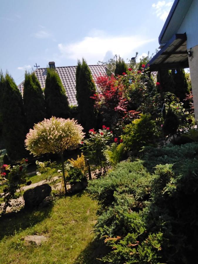 Casa Mamei Сучава Экстерьер фото