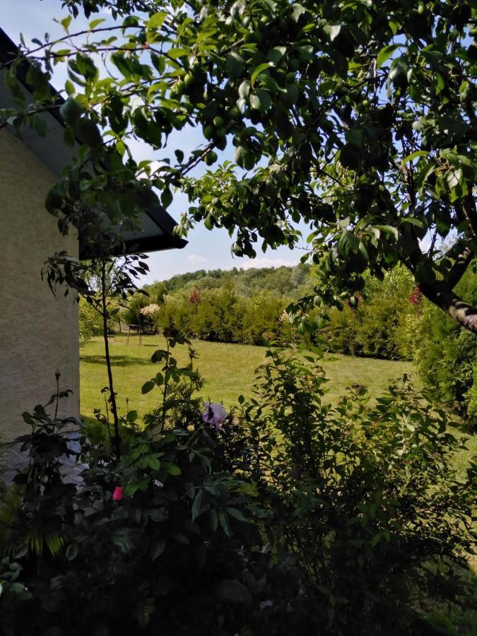 Casa Mamei Сучава Экстерьер фото