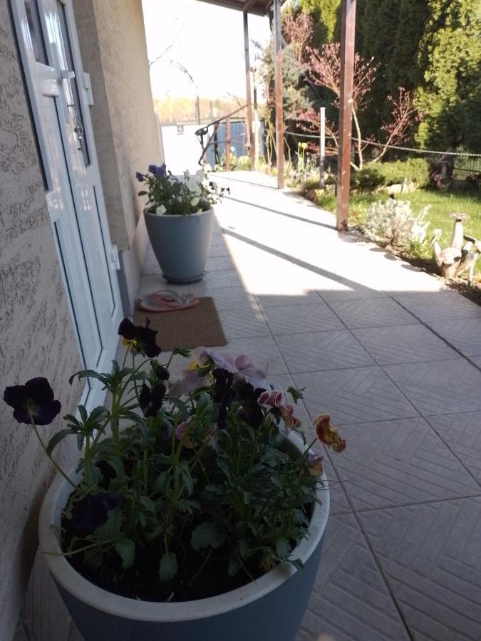 Casa Mamei Сучава Экстерьер фото